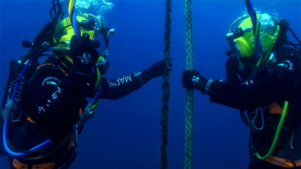 Submarine Cables’ Providers and the Security of Data: Implications for the European&nbsp;Union